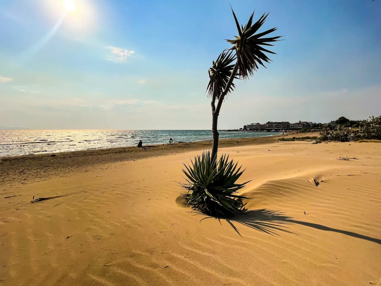 Najlepsze atrakcje w Artemidzie Grecja, które musisz zobaczyć