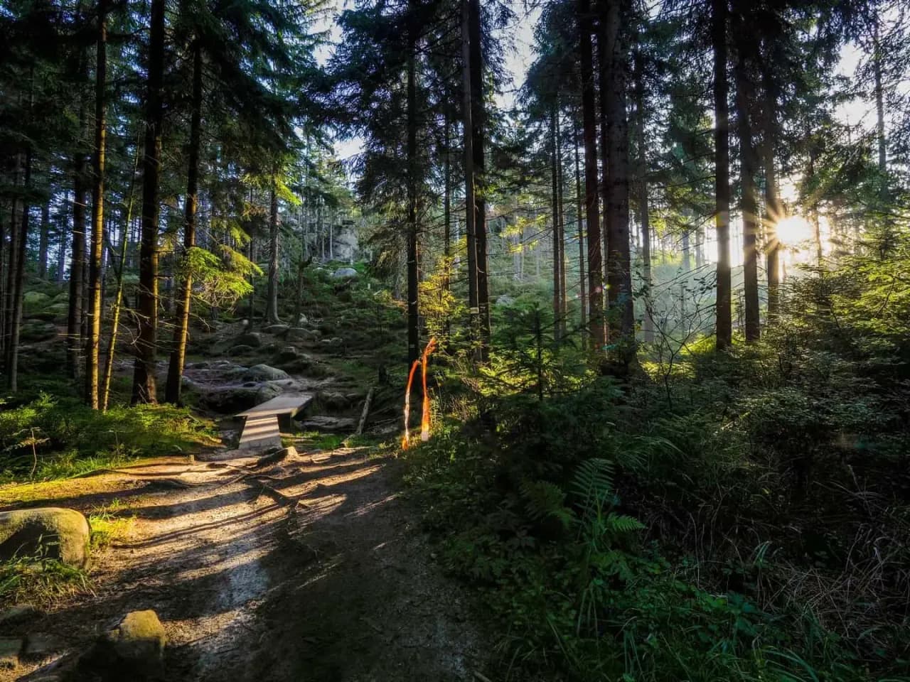 Najciekawsze atrakcje Gór Stołowych, które musisz zobaczyć