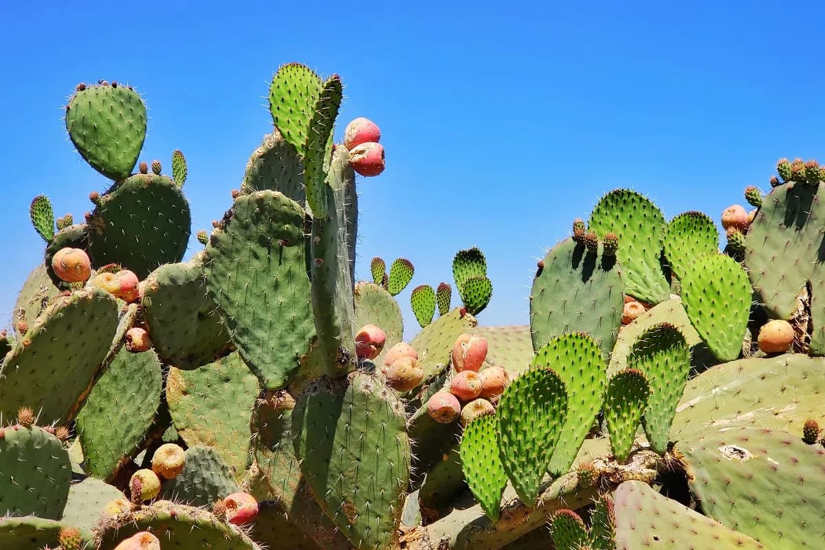 Meksyk kiedy jechać: uniknij najgorszej pogody i ciesz się wakacjami