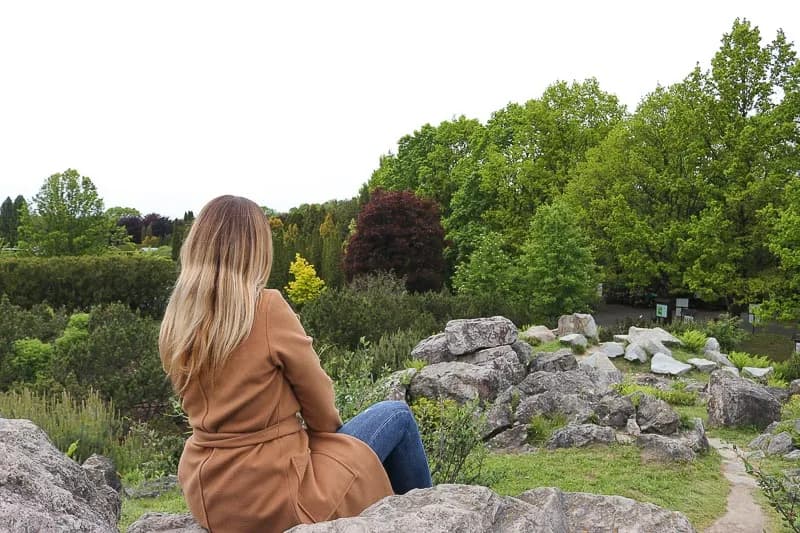 Kiedy najlepiej jechać do Powsina, by nie przegapić piękna natury