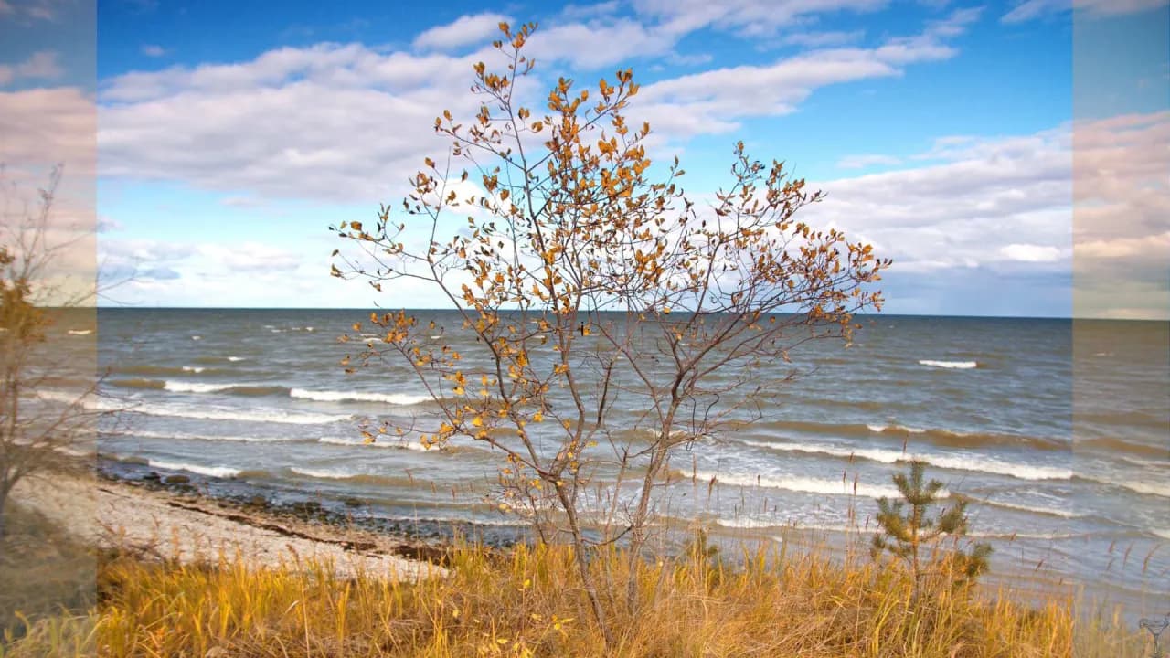 Kiedy najlepiej jechać nad morze po jod, aby poprawić zdrowie?